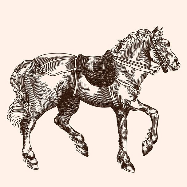 Άλογο με σέλα και ιμάντα σε vintage στυλ σε μπεζ φόντο. - Διάνυσμα, εικόνα