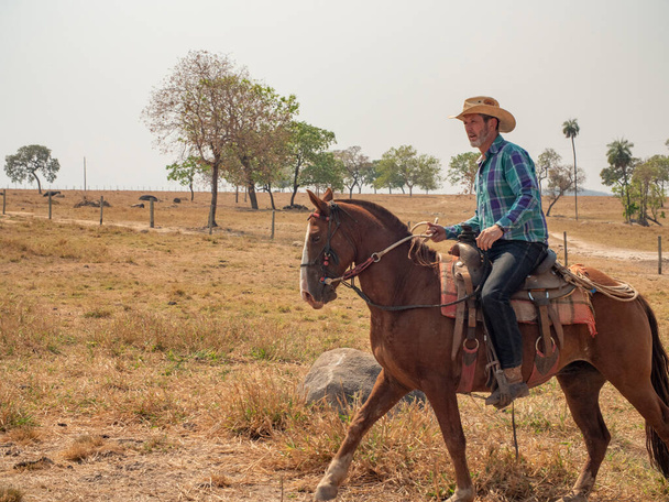 Ковбой едет верхом на лошади на ферме в Бразилии с очень сухой землей - Фото, изображение
