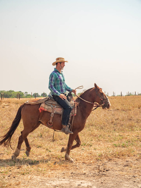 Kovboj jezdí na koni na dobytčí farmě v Brazílii s velmi suché zemi - Fotografie, Obrázek