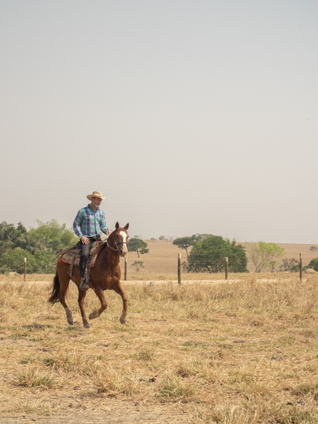 Cowboy is riding his horse on a cattle farm in Brazil with very dry land - Zdjęcie, obraz