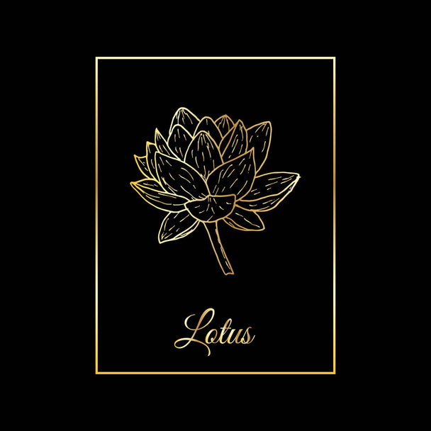 Lotus plant with flower. Hand drawn vector - Διάνυσμα, εικόνα