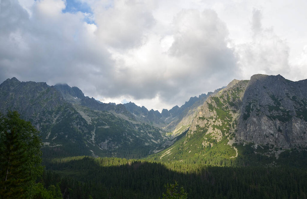 Nubes bajas abetos verdes y montañas rocosas. Tatras altos en día nublado de niebla. Camino entre Popradske Pleso y Strbske Pleso, Eslovaquia - Foto, imagen