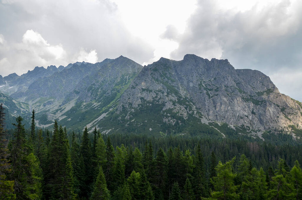 Low clouds green spruce trees and rocky mountains. High Tatras in cloudy foggy day. Path between Popradske Pleso and Strbske Pleso, Slovakia - Photo, Image