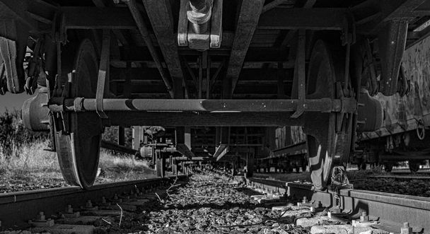 Tren parado en la via visto desde abajo en blanco y negro / Fermata del treno sul binario visto dal basso in bianco e nero - Foto, immagini