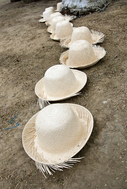 uspořádání slaměné klobouky - Fotografie, Obrázek