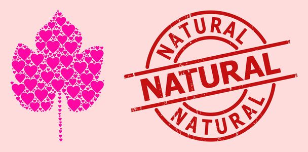 Distress Natural Seal and Pink Lovely Grapes Leaf Collage - Vector, Image