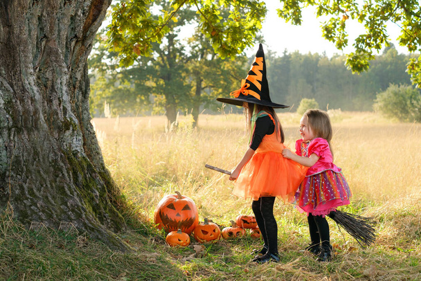 Две девушки весело смеются, сидя на метле под большим дубовым стволом в день Хэллоуина. Радостный детский смех. Продажи на Хэллоуин. Счастливого детства. Карнавальные костюмы ведьмы - Фото, изображение