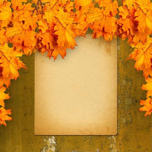 Old paper listing on rusty iron wall with bright orange autumn l - Φωτογραφία, εικόνα