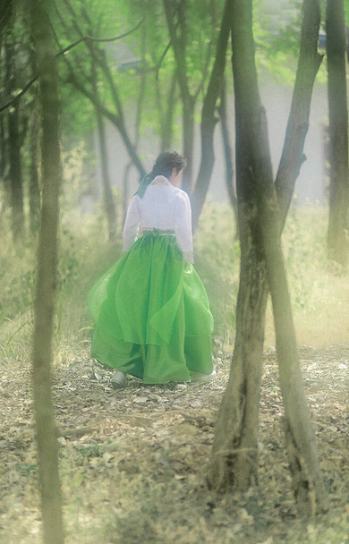 bride and groom in the forest - Foto, Imagem