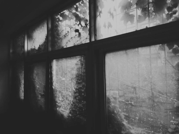 black and white photo of a window - Φωτογραφία, εικόνα