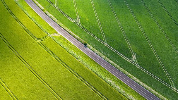 Veduta aerea della strada di campagna in mezzo ai campi agricoli verdi in una tarda primavera, West Sussex, Regno Unito. - Foto, immagini