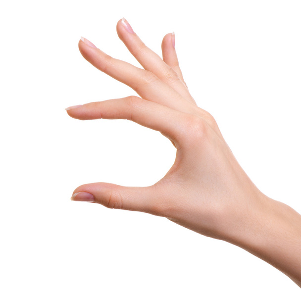 Female hand isolated on white - Photo, Image