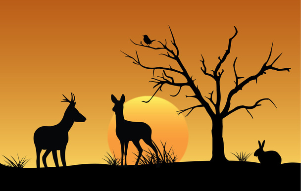 silueta jeleny, zajíce a pták při západu slunce - Vektor, obrázek