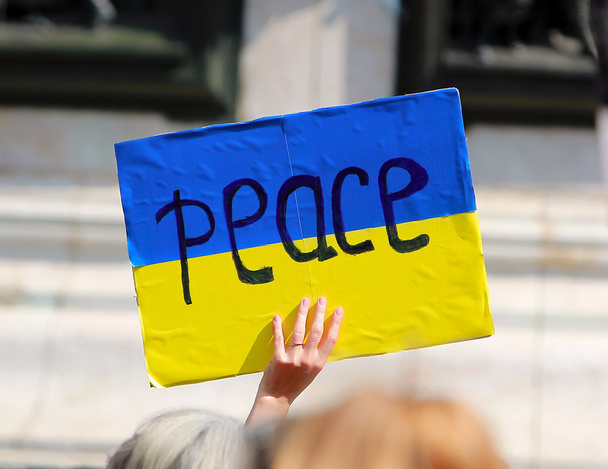 Znak míru na protestním projevu - Fotografie, Obrázek