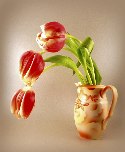 букет тюльпана
 - Фото, изображение