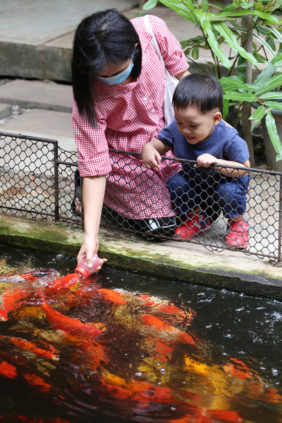 Мати і дитина годують рибу в ставку
. - Фото, зображення