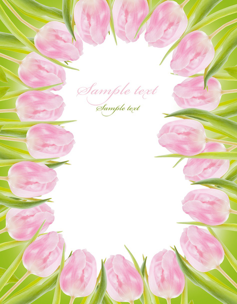 Pink tulips - 写真・画像