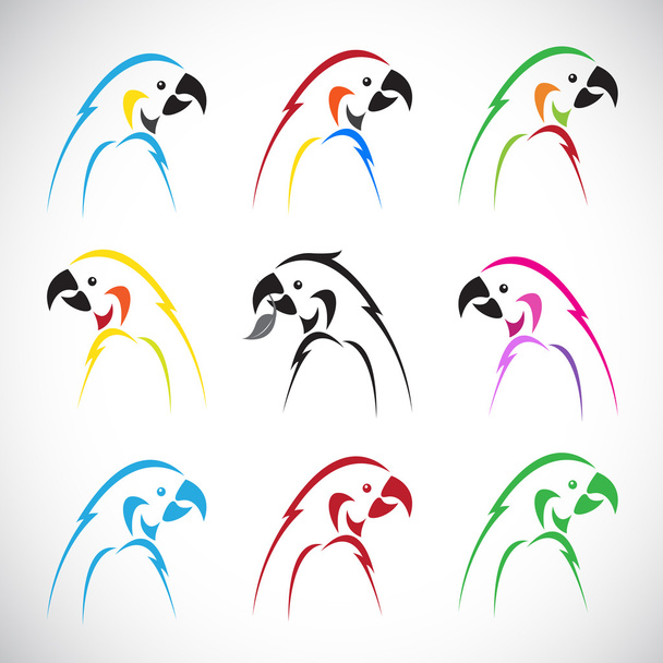 Immagini vettoriali di gruppo pappagallo
  - Vettoriali, immagini