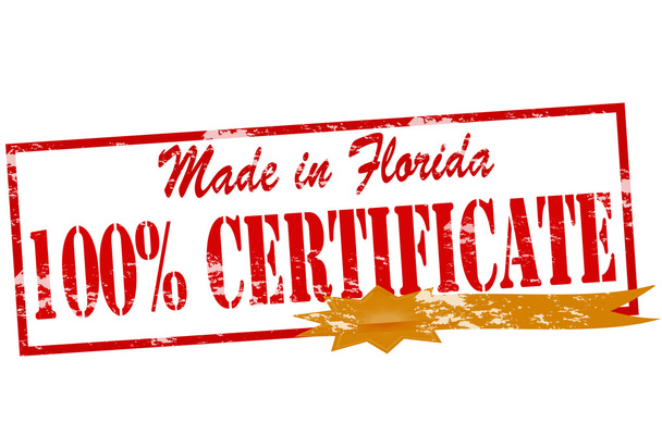 Florida yüzde yüz sertifikada yapılan - Vektör, Görsel