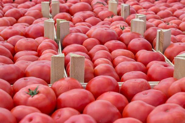 Farmers market tomato in a wooden crates - Photo, Image