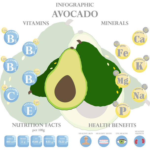 Avocado nutriční fakta a zdravotní výhody infographic. Zdravotní přínosy avokáda - Vektor, obrázek