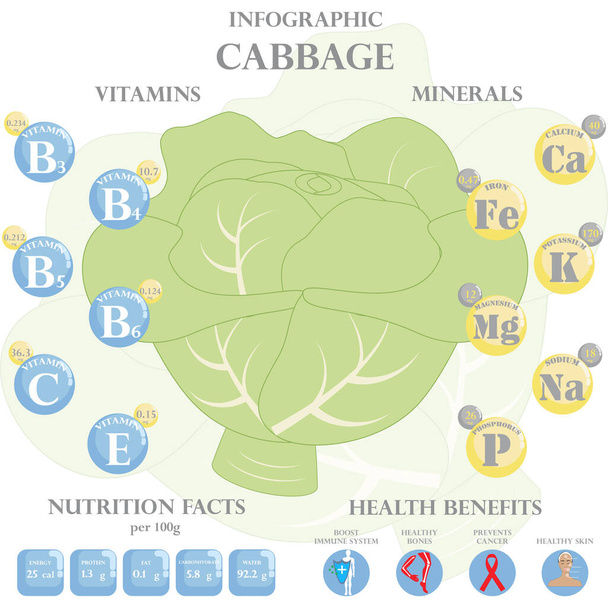 Kool voeding feiten en gezondheidsvoordelen infographic. Gezondheidsvoordelen van kool - Vector, afbeelding