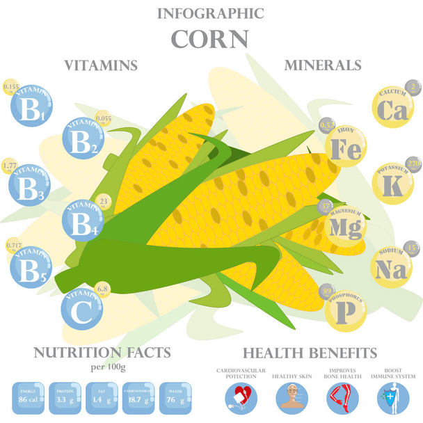 Kukuřičné výživy fakta a zdravotní výhody infographic. Zdravotní přínosy kukuřice - Vektor, obrázek