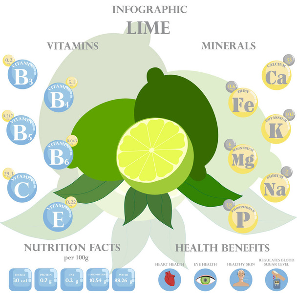 Información nutricional de cal e infografía de beneficios para la salud. Beneficios para la salud de la cal - Vector, Imagen
