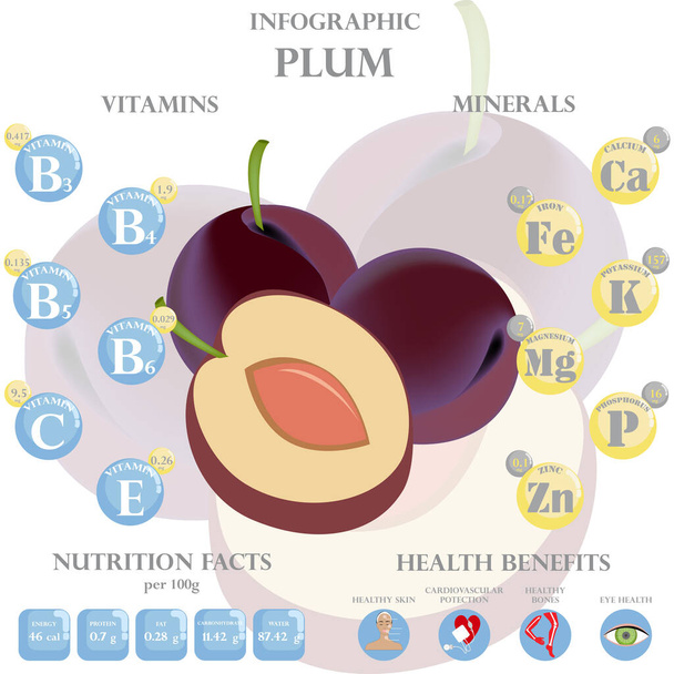 Plum nutrizione fatti e benefici per la salute infografica. Benefici per la salute della prugna - Vettoriali, immagini