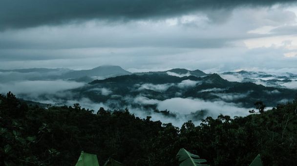 A mesmerizing view of dense trees and mountains covered with clouds under a gloomy sky - 写真・画像