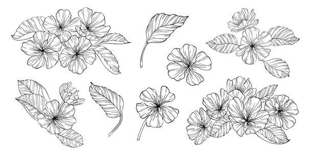 白に孤立した梨の花や葉。手描き線ベクトルイラスト。Eps 10 - ベクター画像