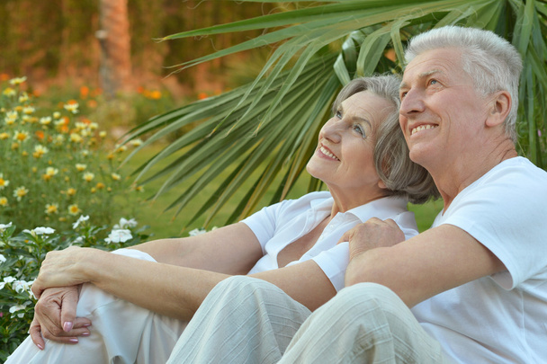 Senior couple sitting on grass - Photo, image