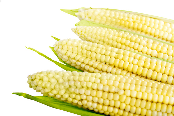 Kukoricacsutka - Fotó, kép