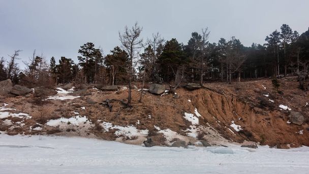 Metsä kasvaa hiekkakukkulalla. Maaperän eroosio on paljastanut puiden juuret. Lumi makaa maassa ja tiellä. Siperia - Valokuva, kuva