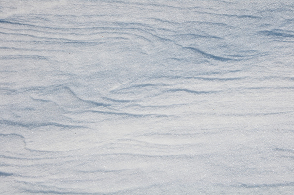 background of fresh snow - Photo, Image