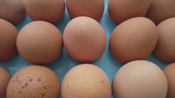 Huevos de gallina crudos frescos. Movimiento lento - Metraje, vídeo