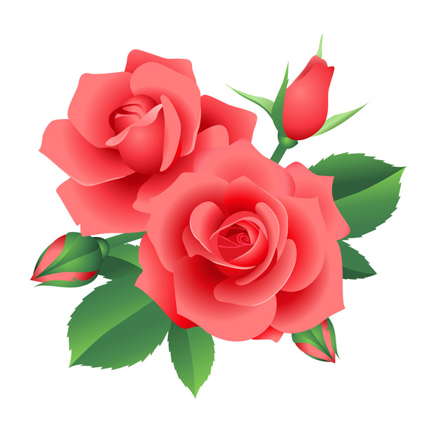 Bloom roses - Wektor, obraz