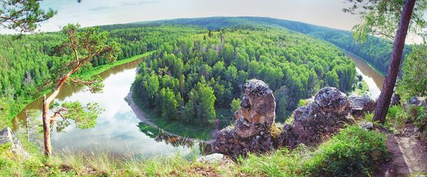 siberian taiga landscape - Photo, Image