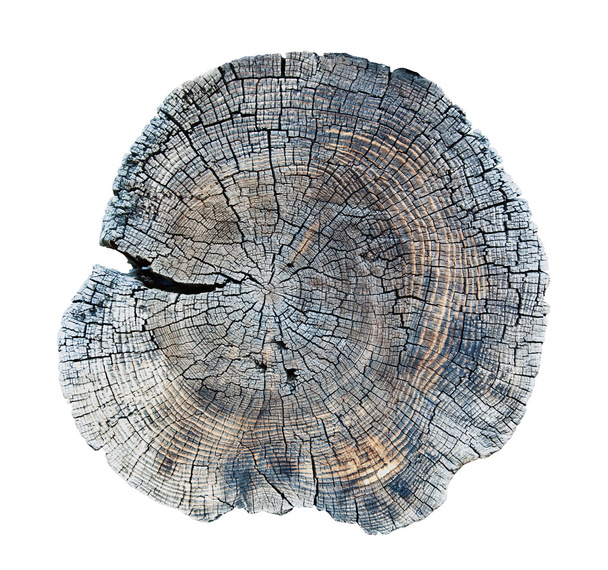 Textura madera  - Foto, imagen