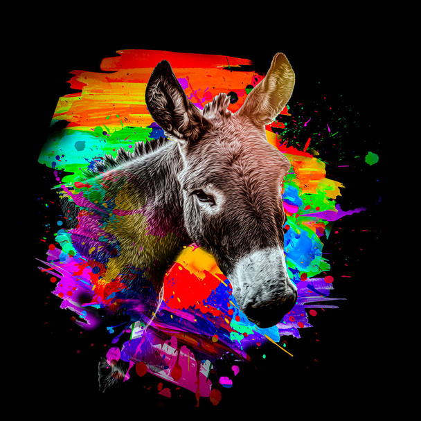 Colorful artistic donkey muzzle with bright paint splatters  - Photo, Image