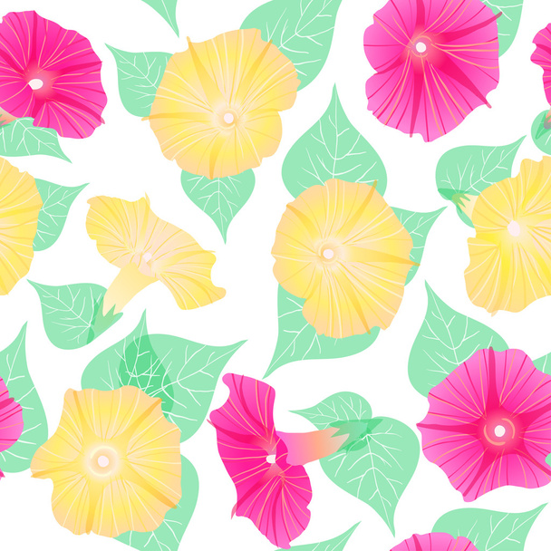 Pattern with pink and violet flowers (petunias) - Vecteur, image