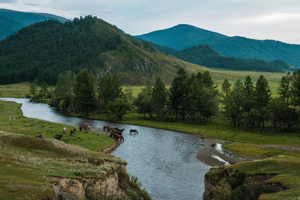 Krásná scenérie Altai republiky na cestě do Tyungur. - Fotografie, Obrázek