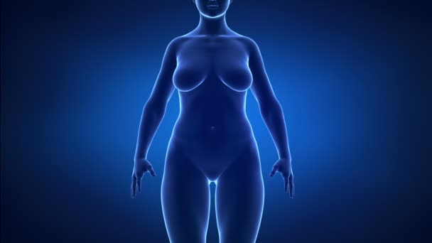 weiblich - von schlank bis fettleibig im Zeitraffer - Filmmaterial, Video