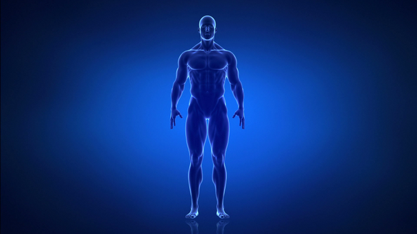 Deporte y estilo de vida saludable concepto de hombre
 - Metraje, vídeo