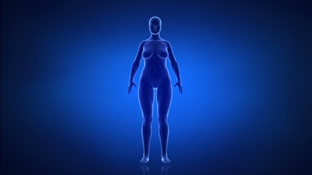 Female - from slim to obesity in time lapse - Footage, Video