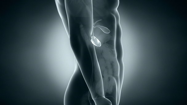Pancreas medical scan - Footage, Video