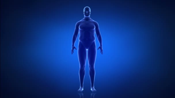 Mann - im Zeitraffer von schlank zu fettleibig - Filmmaterial, Video