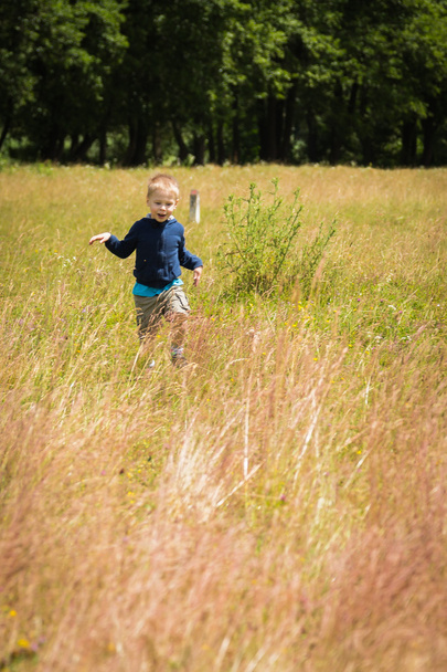 Boy in field - Фото, изображение