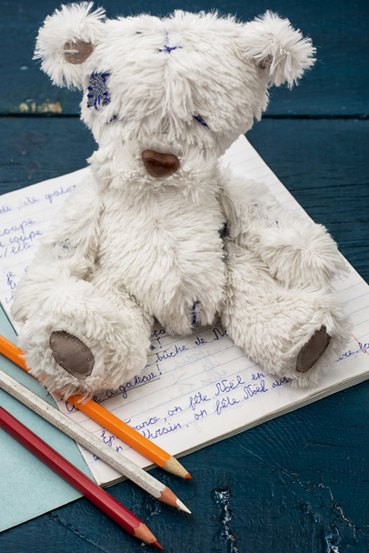 Soft toy bear and school notebook - Photo, Image
