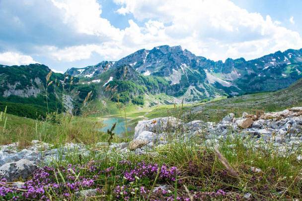 山の範囲と緑の丘と曇りの青い空を背景に小さな氷河湖。美しい夏の山の曇りの風景。デュルモーター国立公園。世界遺産。モンテネグロ. - 写真・画像